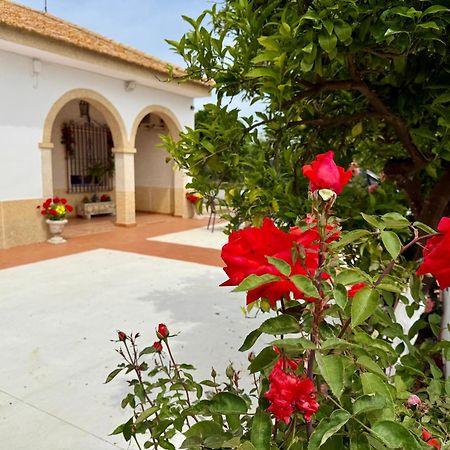 La Casa Del Flamenco Villa Cañada del Rabadán Екстериор снимка