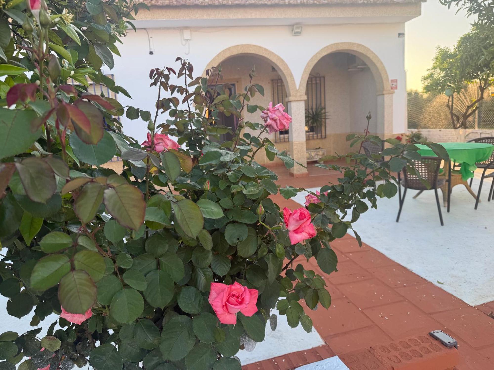 La Casa Del Flamenco Villa Cañada del Rabadán Екстериор снимка