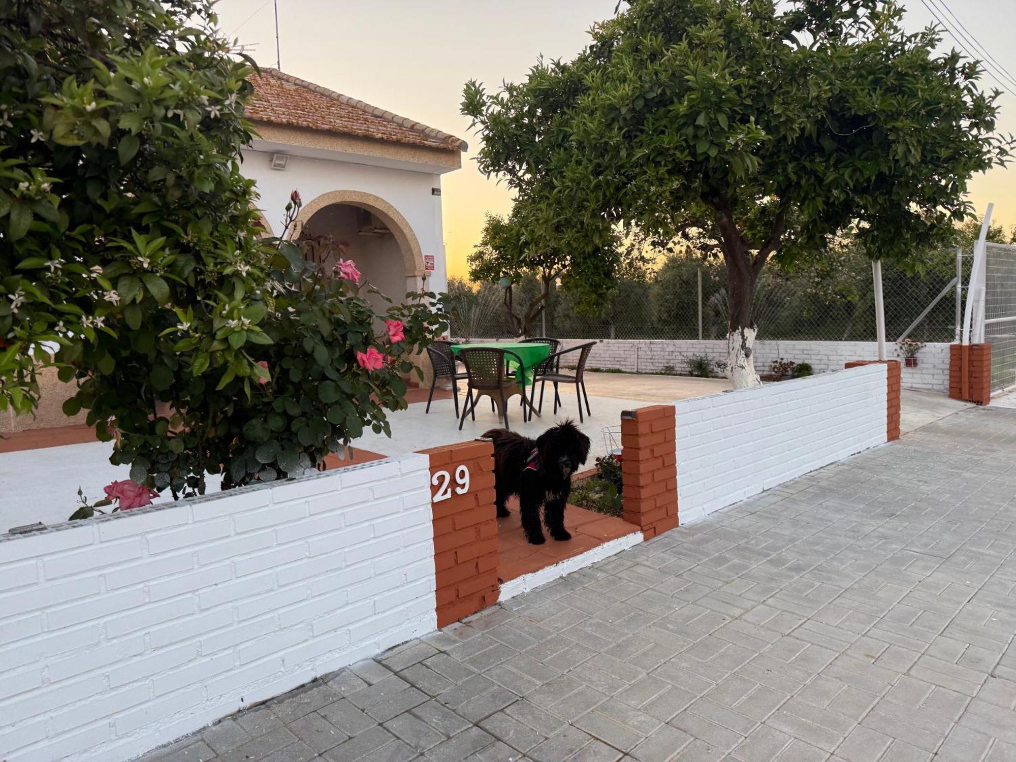 La Casa Del Flamenco Villa Cañada del Rabadán Екстериор снимка