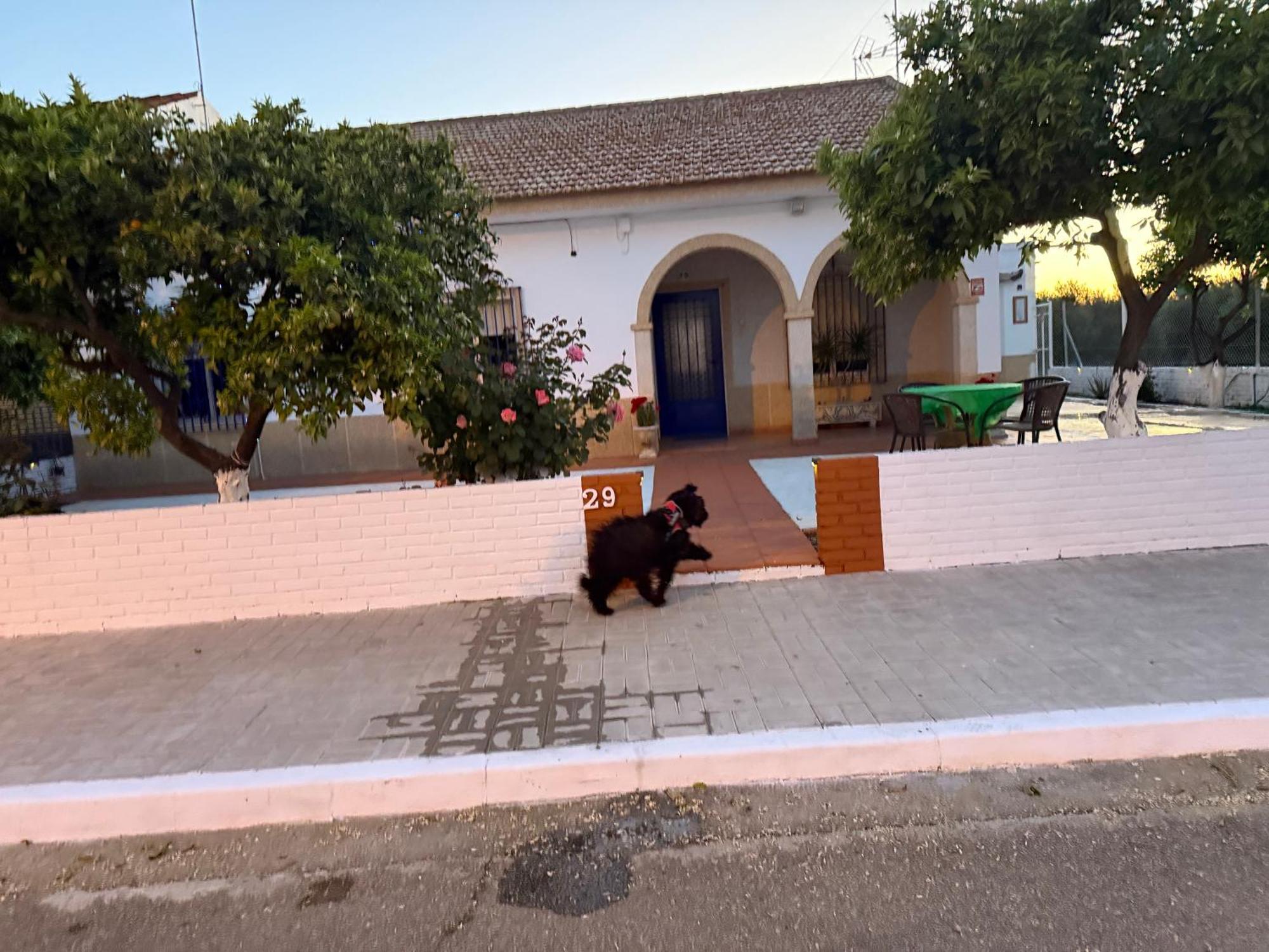 La Casa Del Flamenco Villa Cañada del Rabadán Екстериор снимка