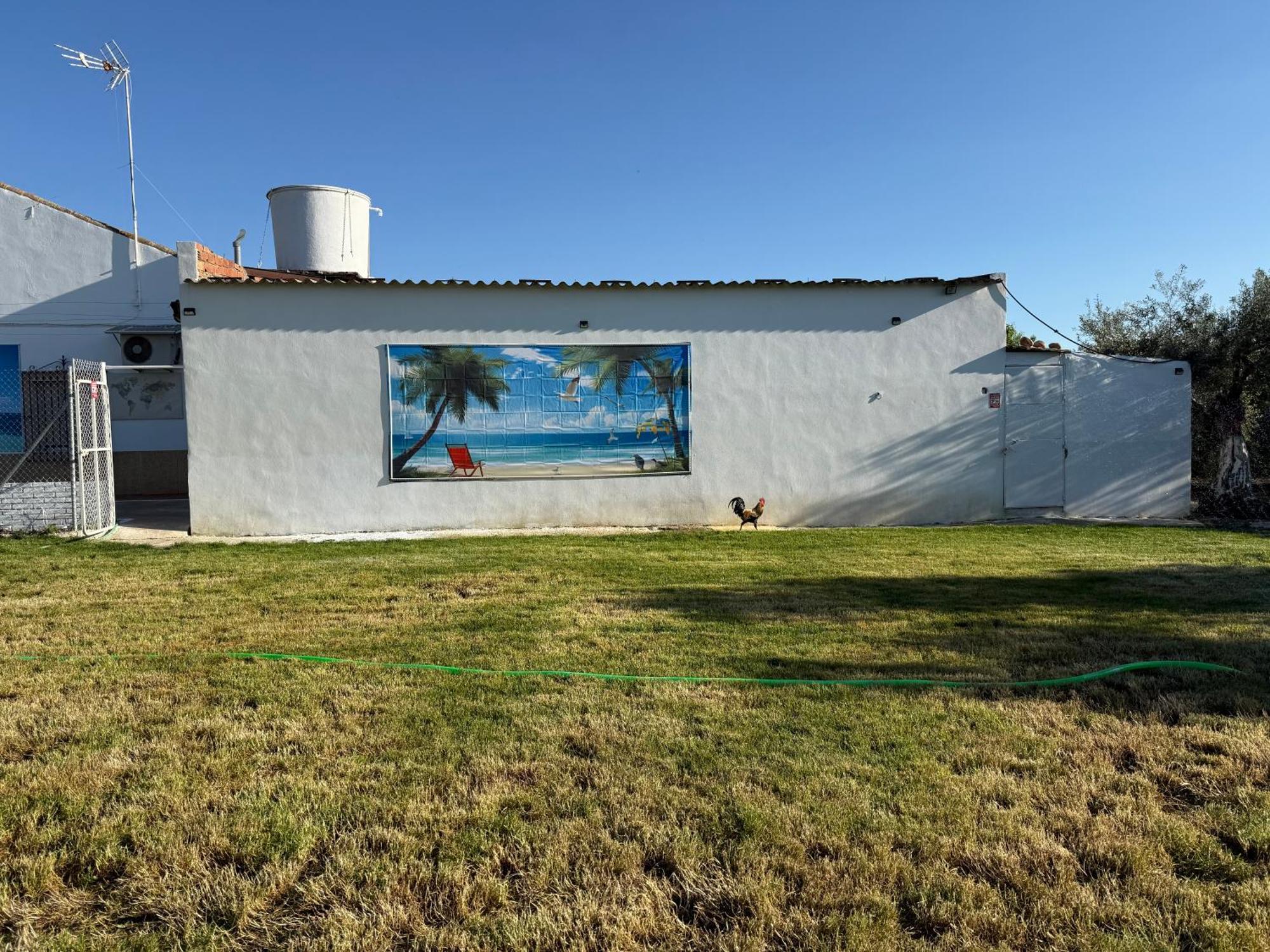 La Casa Del Flamenco Villa Cañada del Rabadán Екстериор снимка