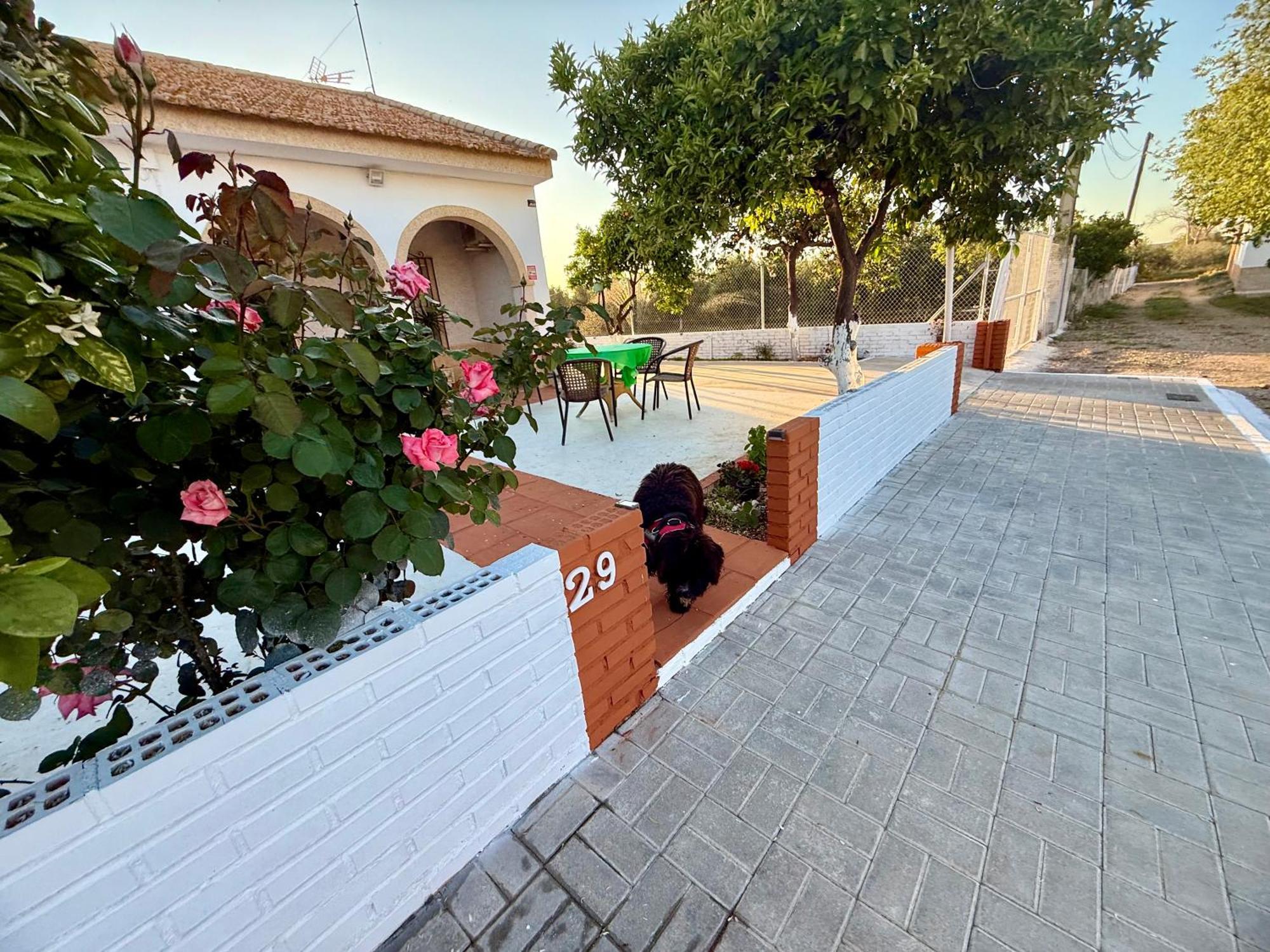La Casa Del Flamenco Villa Cañada del Rabadán Екстериор снимка