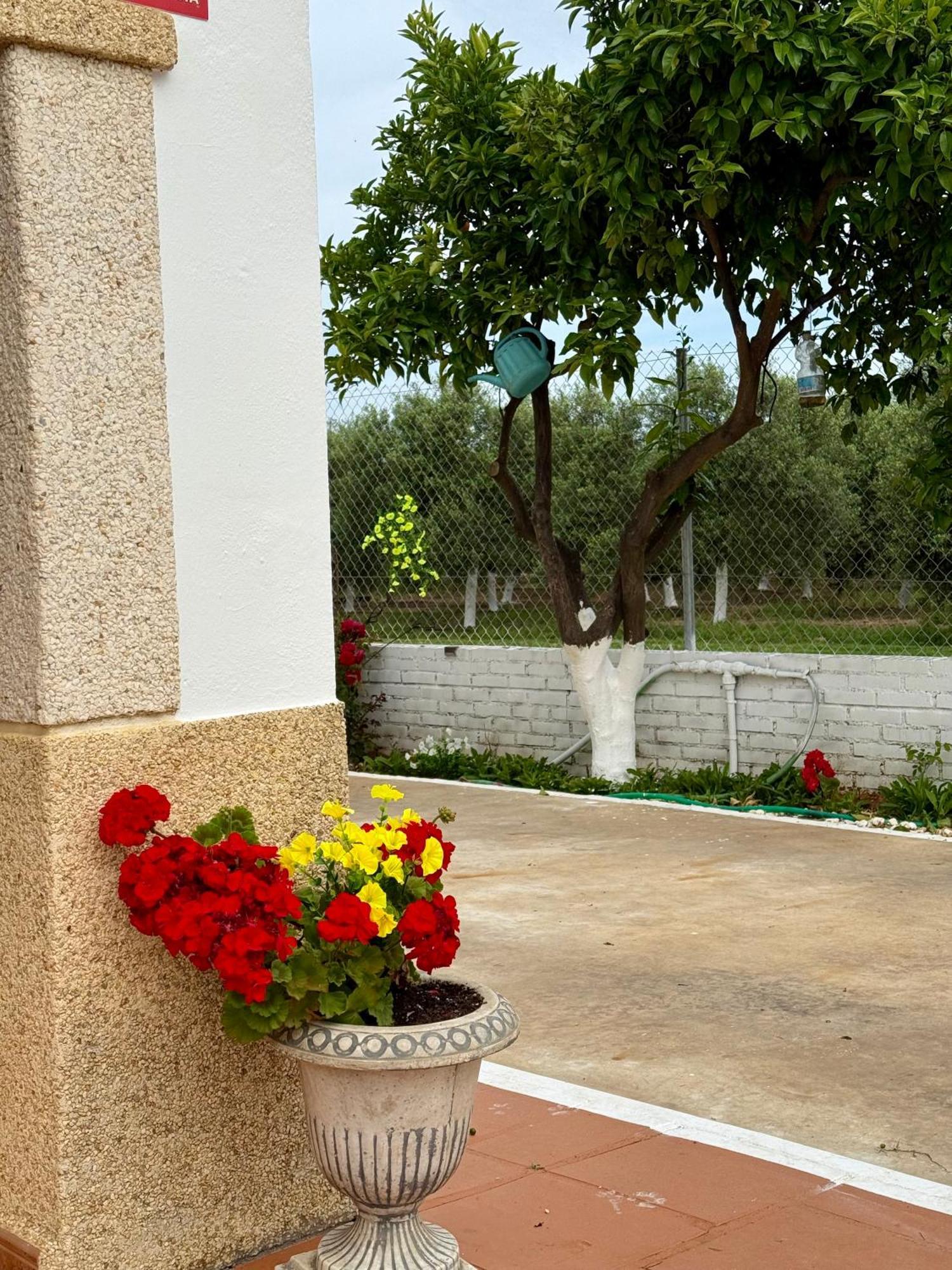 La Casa Del Flamenco Villa Cañada del Rabadán Екстериор снимка